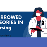 borrowed theories in nursing