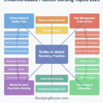 evidence-based practice project examples