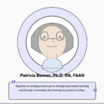Patricia Benner Nursing Theory and Nurse Theorist