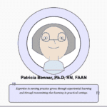 Patricia Benner Nursing Theory and Nurse Theorist