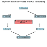 The Implementation Process of the SDLC in Nursing