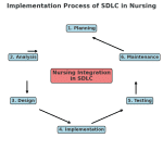 The Implementation Process of the SDLC in Nursing