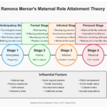 The Four Stages of Ramona Mercer Maternal Role Attainment Theory