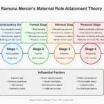 The Four Stages of Ramona Mercer Maternal Role Attainment Theory