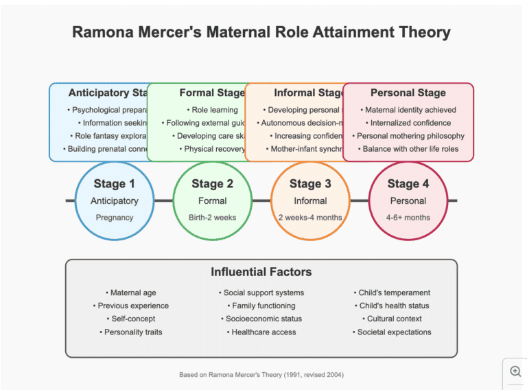 The Four Stages of Ramona Mercer Maternal Role Attainment Theory