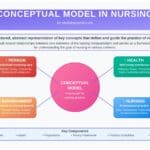 conceptual model in nursing