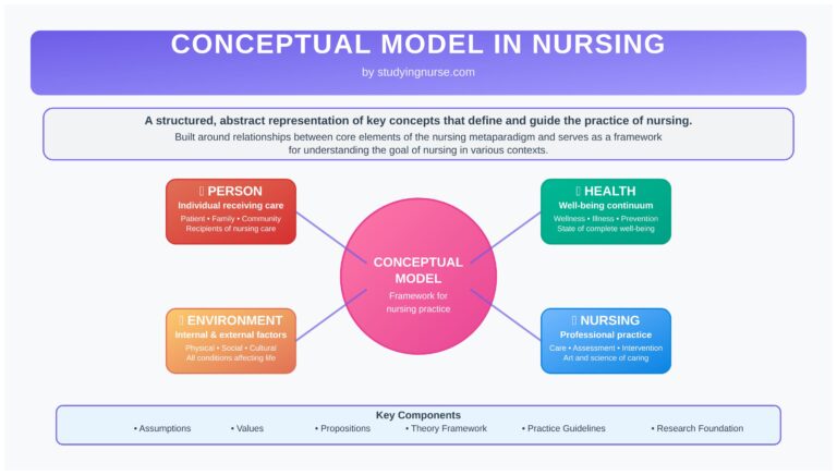 conceptual model in nursing