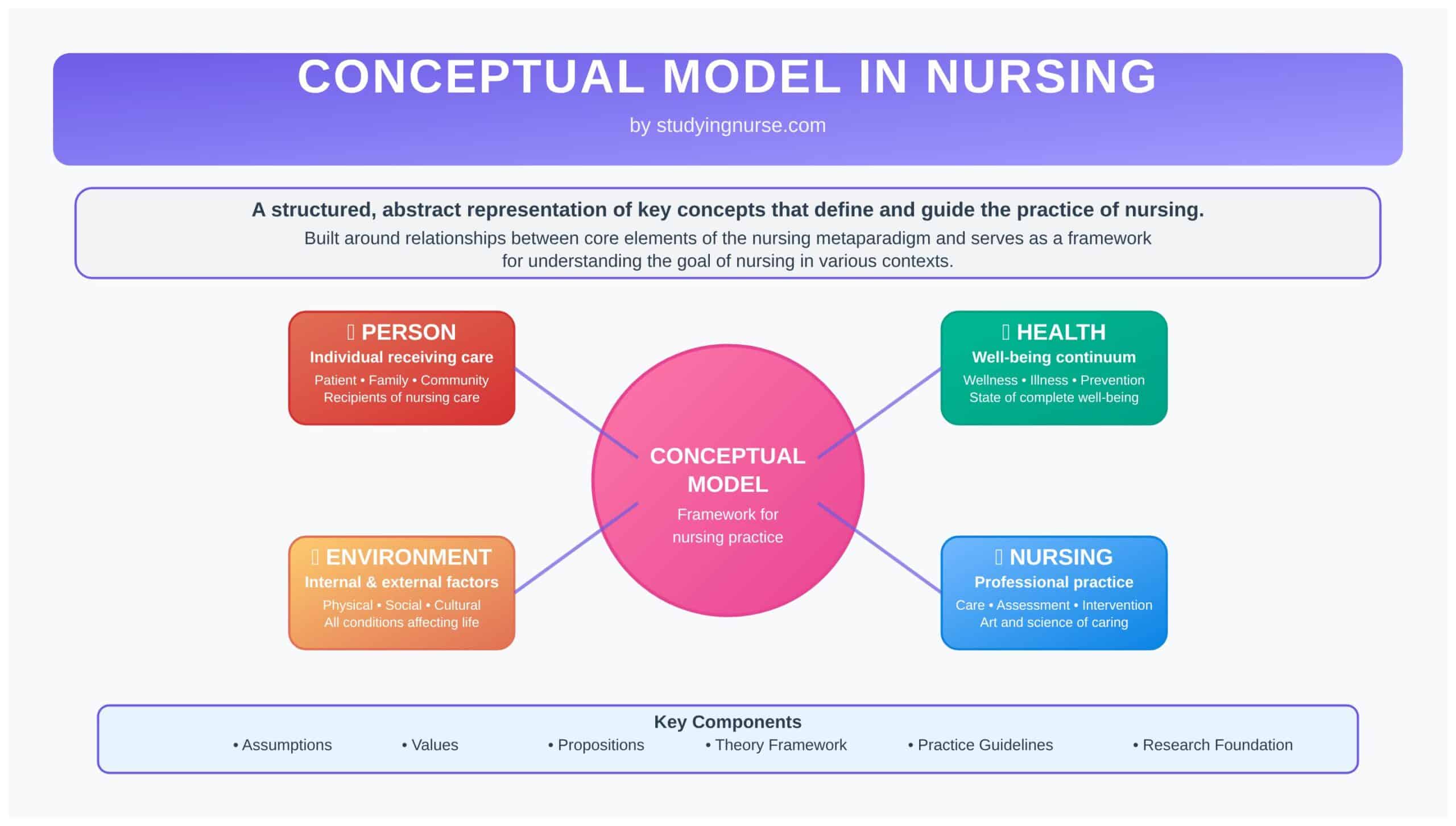 Conceptual Model Example Nursing Guide