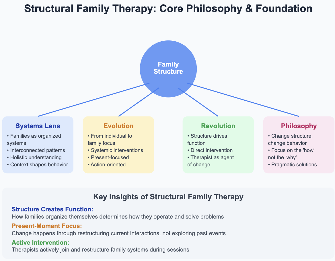 Structural Family Therapy Core Philosophy