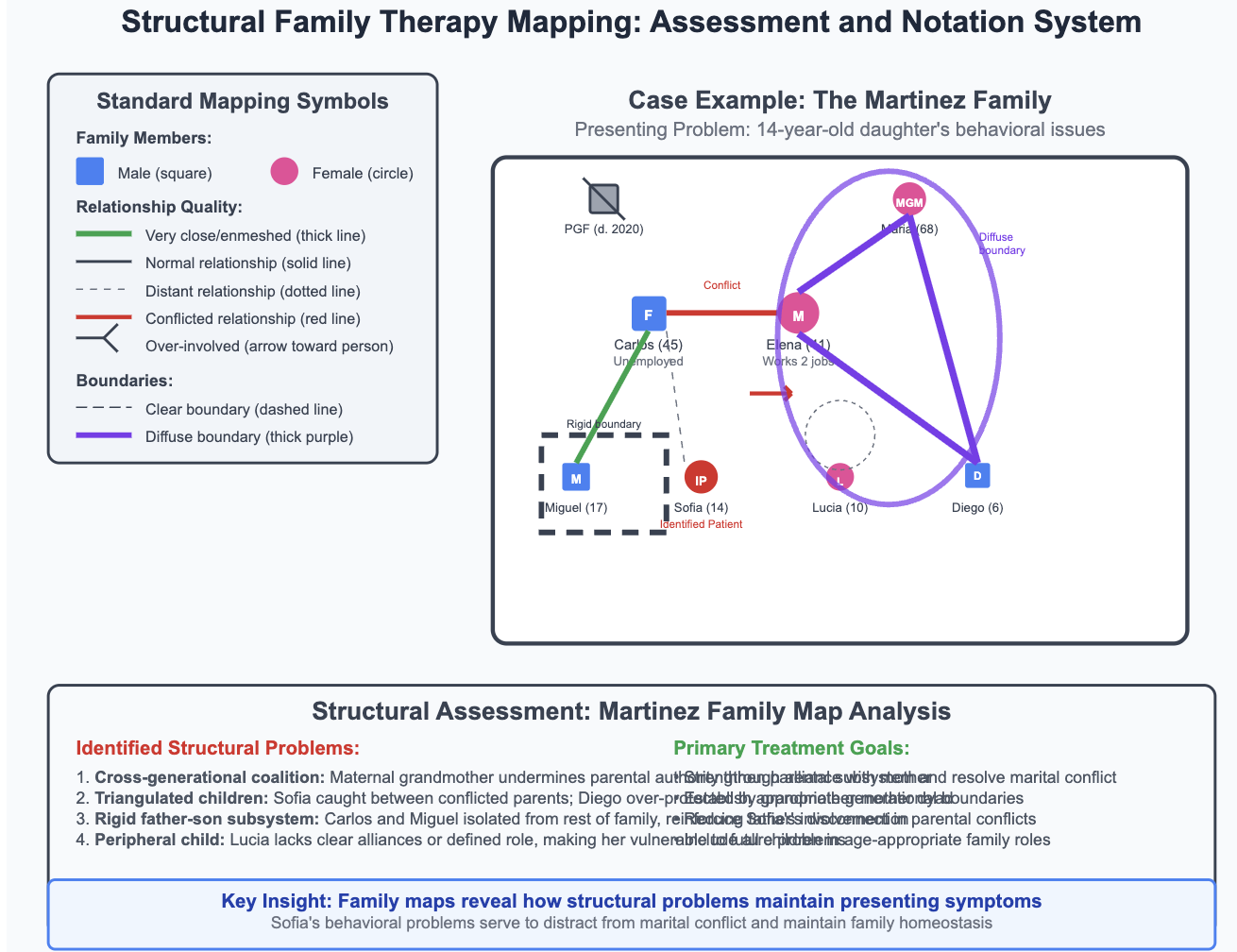 Structural Family Therapy Mapping example