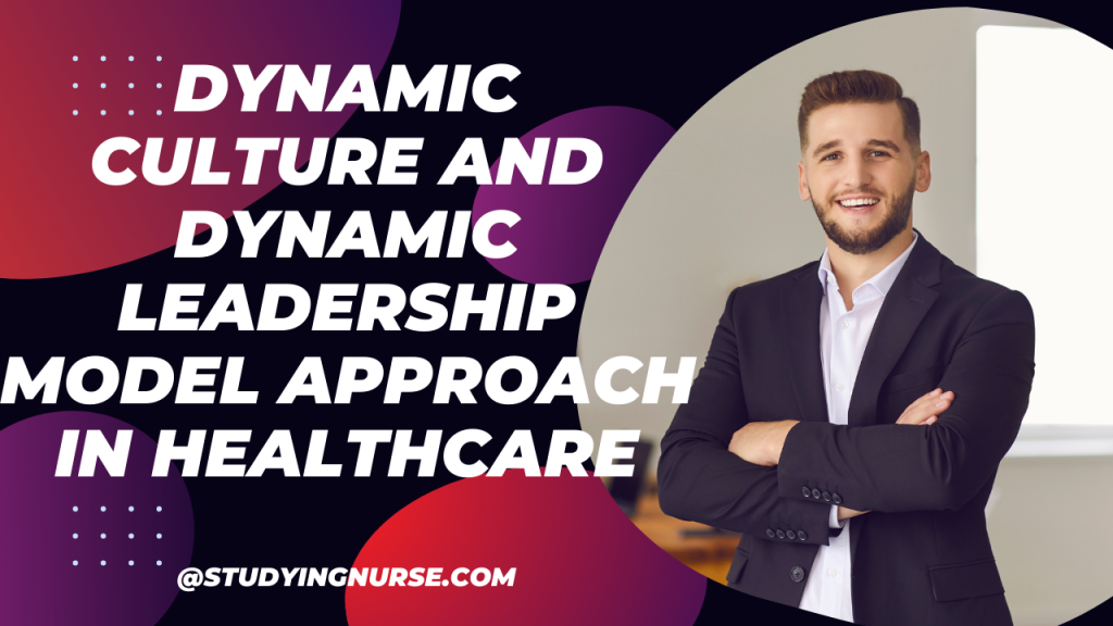 Dynamic Culture and Dynamic Leadership Model Approach in Healthcare
