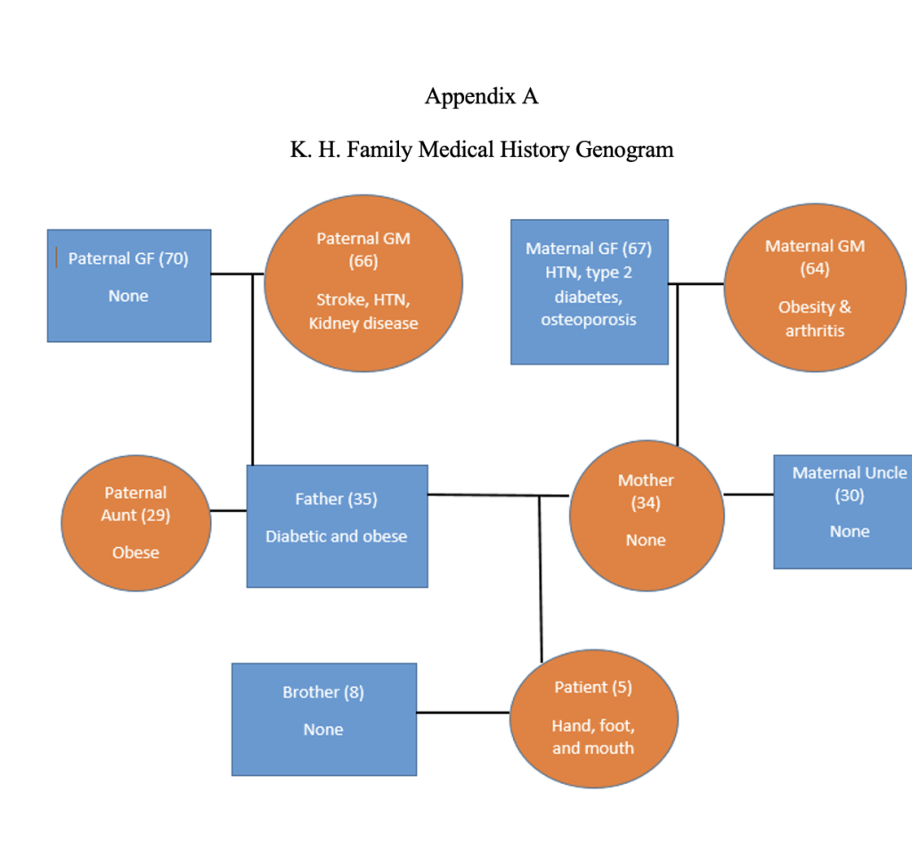 Genogram and Ecomap example