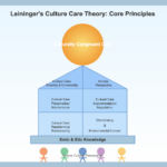 Core Principles of the Leininger Culture Care Theory - The Sunrise Model