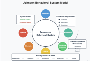 Dorothy Johnson Behavioral System Model | Examples 2025