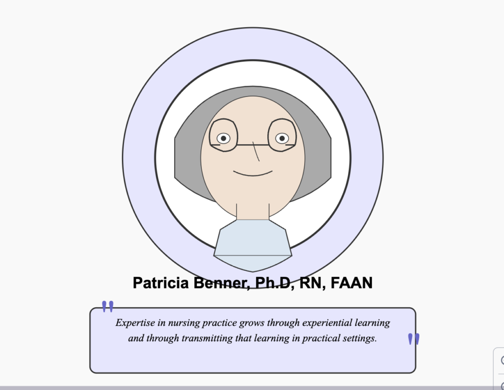 Patricia Benner Nursing Theory and Nurse Theorist