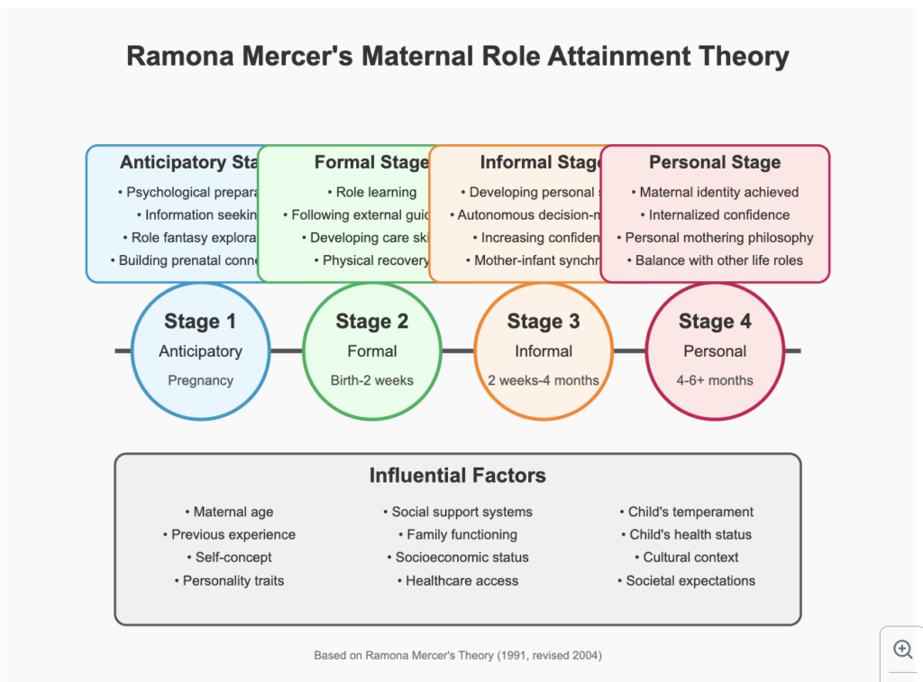 The Four Stages of Ramona Mercer Maternal Role Attainment Theory