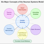 Betty Neuman Systems Model