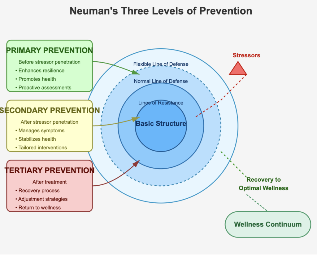 Neuman's Three Levels of Prevention in the Betty Neuman Systems Model