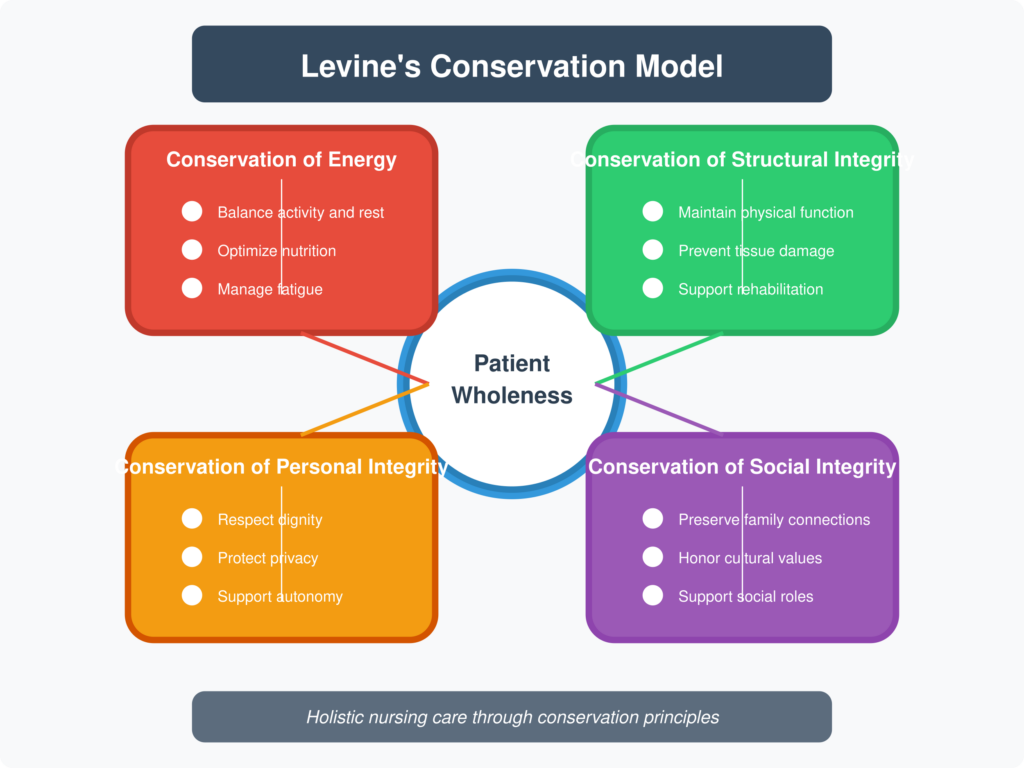 The Four Levine Conservation Model Principles