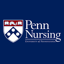 nursing essay writing services penn nursing