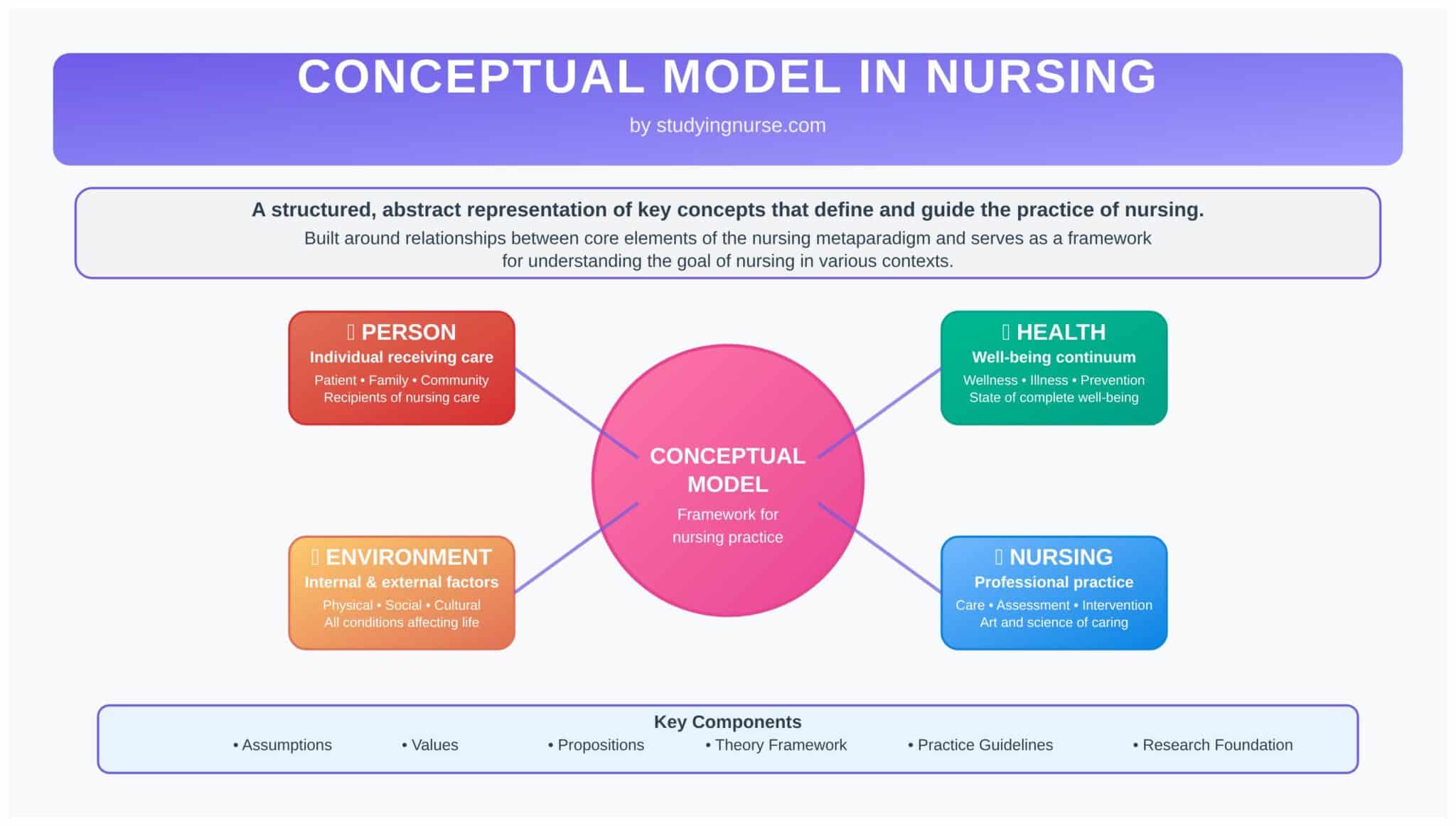 Conceptual Model Example Nursing Guide