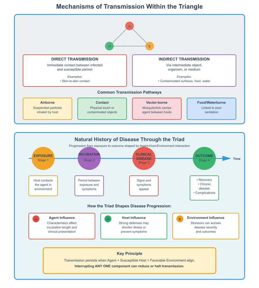 Epidemiological Triangle