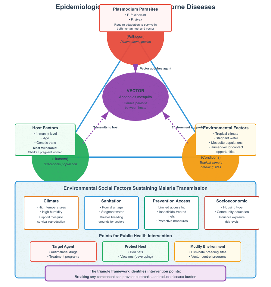 Epidemiological Triangle