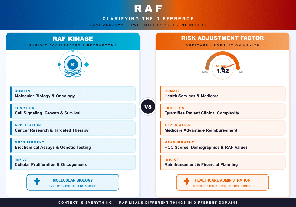 RAF Abbreviation in Medicine